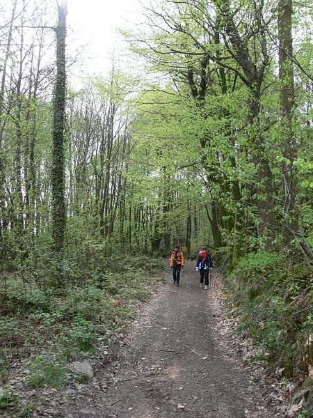 Mont Saint Michel 2010 - 280.jpg